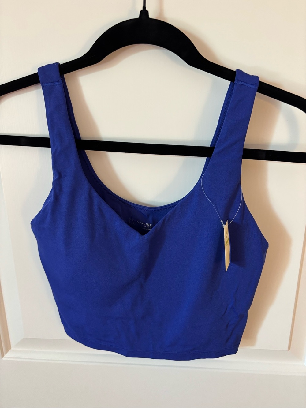 aerie Royal Blue Cropped Tank Top